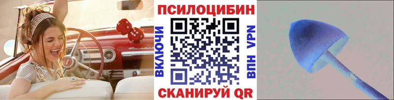 Купить закладки  Пласт  Псилоцибиновые грибы GOLDEN TEACHER 
